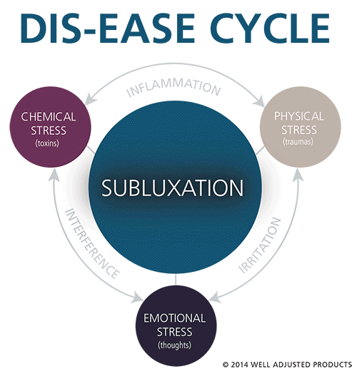 disease and wellness cycle